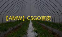 【AMW】CSGO官皮-辅助